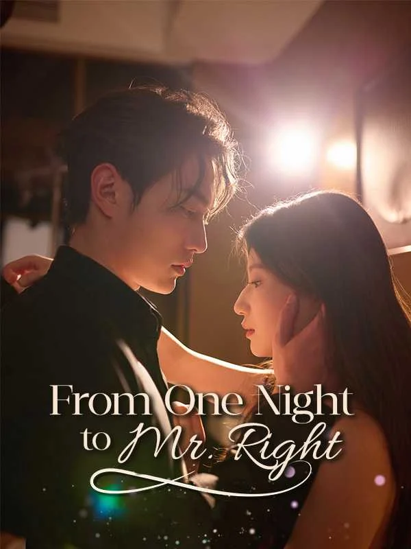 From One Night to Mr. Right